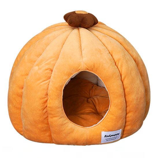 개과천선 호박 하우스 오렌지